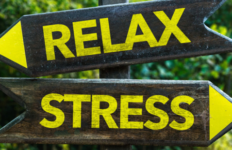 Image of Well-U Stress Reduction: Lifestyle Management Program