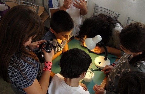 Image of 4-H STEM Club Introductory Meeting