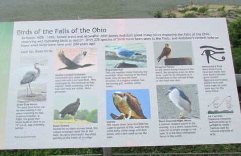 Bird ID signage on observation deck