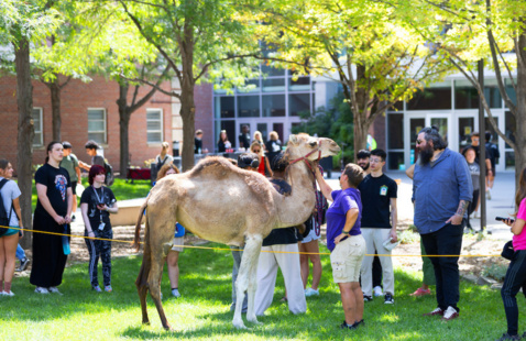 Students petting a Camel