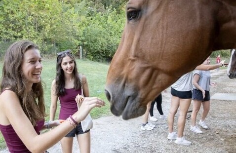Two students feeding a horse with its head out of a horse stall.