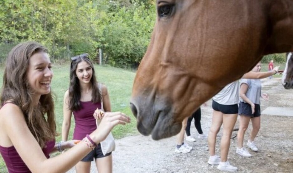 Two students feeding a horse with its head out of a horse stall.