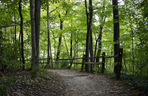 Trail 1B, Mounds State Park. Photo by M. Doty.