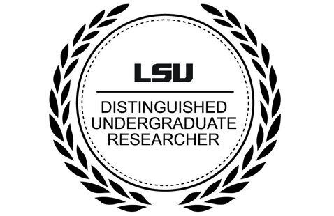 Image of Distinguished Undergraduate Researcher Program: Fall 2026 Orientations