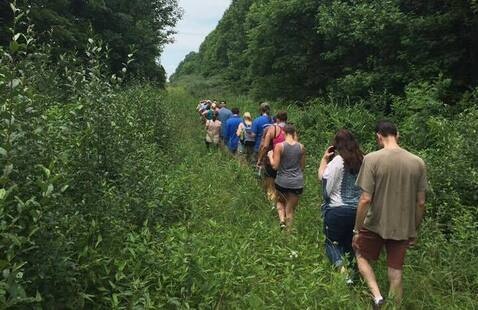 Hikers on path
