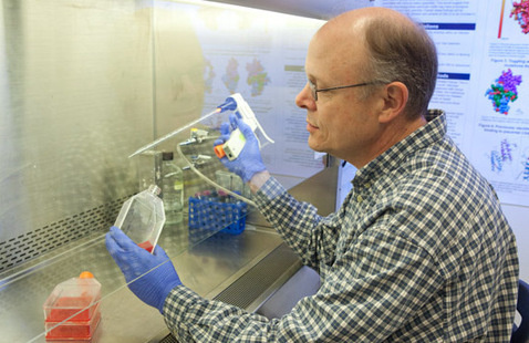 photo of David Peterson working in a tissue culture hood.