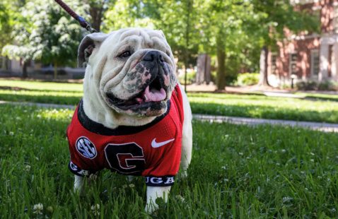 Photo of Uga XI on North Campus