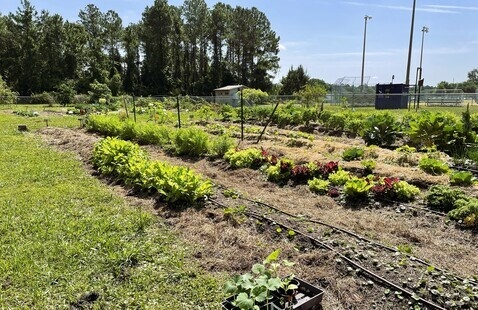 Gardening at the Ogier Gardens