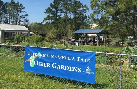 Garden look with blue Ogier Gardens banner
