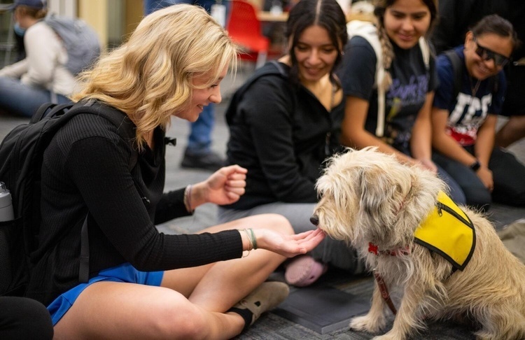 Therapaws