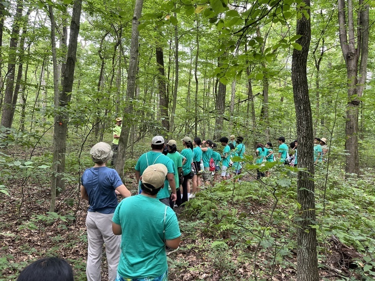 Girl Scouts Love Hiking