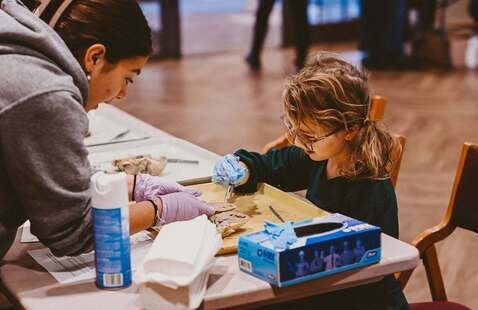 Homeschool Science with Manchester University