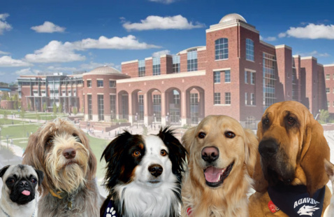Therapy dogs infront of MIKC.