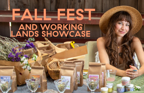 Fall Fest and Working Lands Showcase - October 3, 10 am - 2 pm