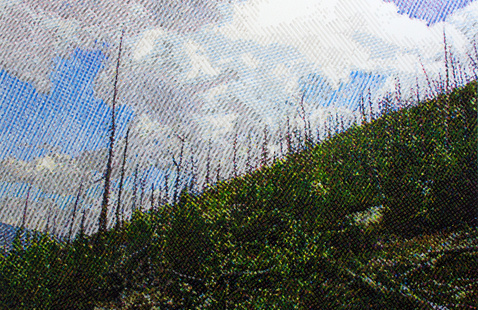 Image detail: Michael Zachary, Burn Area: Hillside, 2025. 