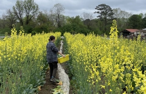 A person working at the Agroecology Farm.