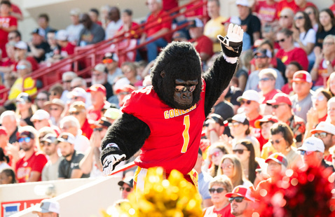 Gus stands not he ledge of Carnie Smith Stadium, infront of a cheering crowd, with his hand in the air 