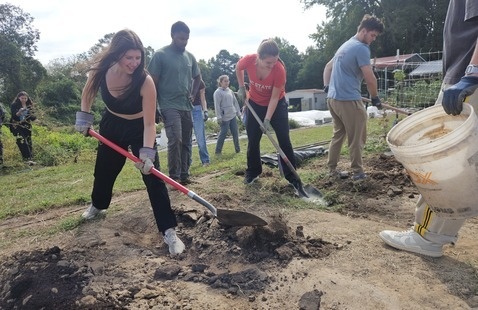 Volunteers digging with shovels at the Agroecology Farm.