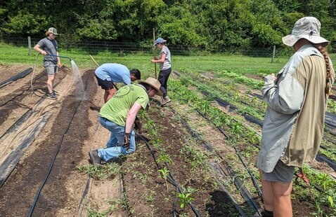 Five people tending plants at the Agroecology Farm.