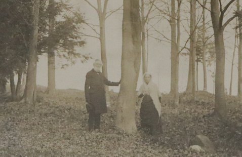 Photograph from the Edward Austin Sheldon Collection