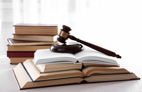 a gavel rested on top of a stack of open books