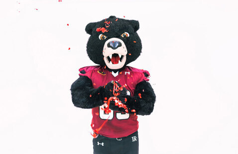 Joe Bear mascot throwing confetti
