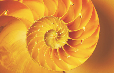 Localist event image for Guided Mindfulness Meditation with the Let’s Meditate Initiative 