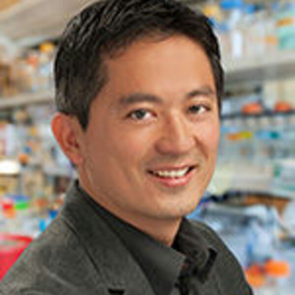 Takaki Komiyama - A cell-type-specific cortical circuit for maintenance of value representations