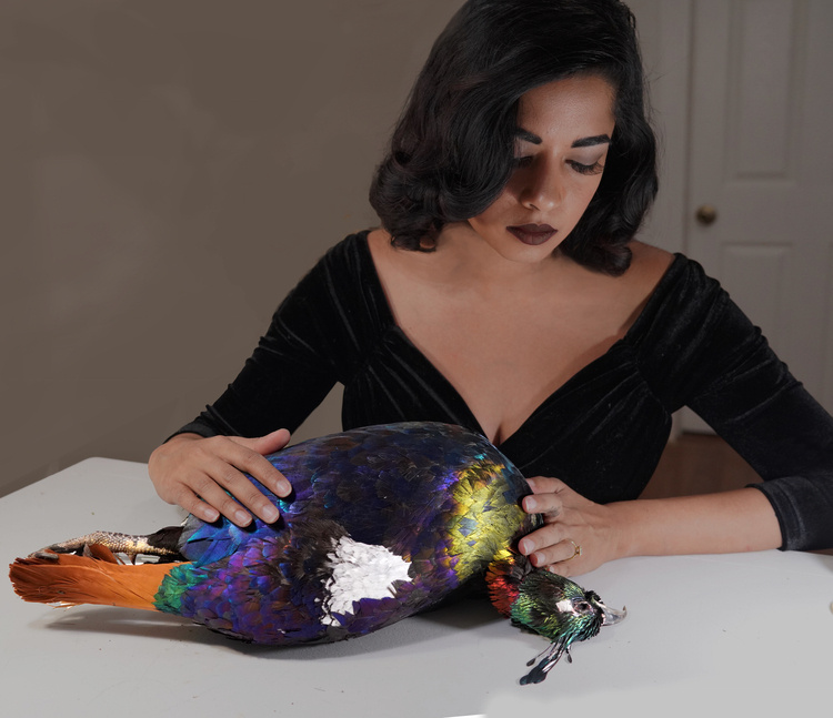 artist holding bird for taxidermy