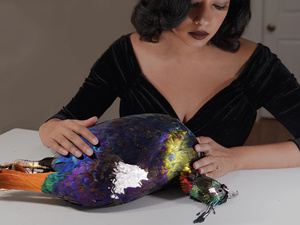 artist holding bird for taxidermy