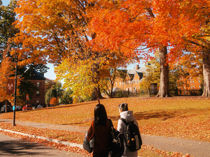 People walk across campus, trees in fall color.