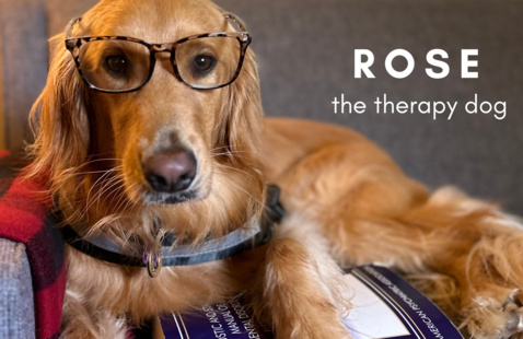 Image of Office Hours with Rose