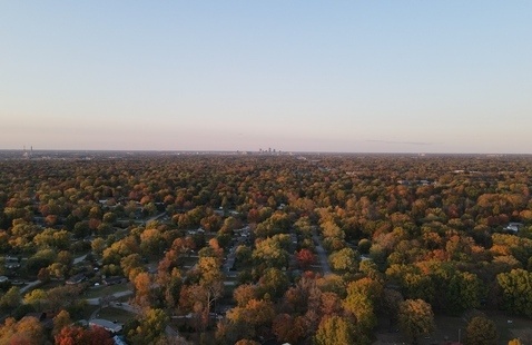 Drone shot of trees in the fall