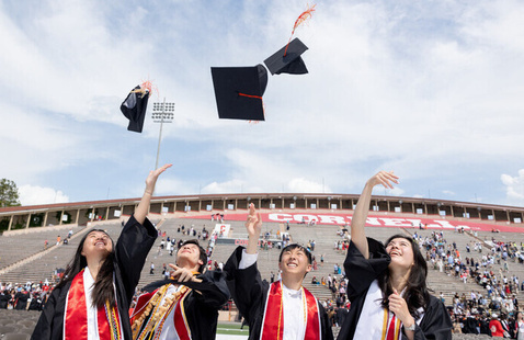 Image of Visas After Graduation