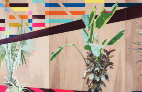 Three potted tropical plants against a wood-paneled wall with a diagonal dark band and colorful geometric accents. Dixon Arti