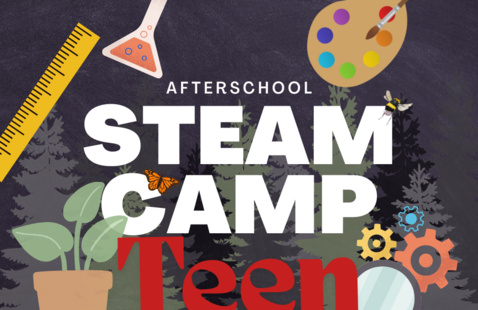 Image of Teen Steam Camp