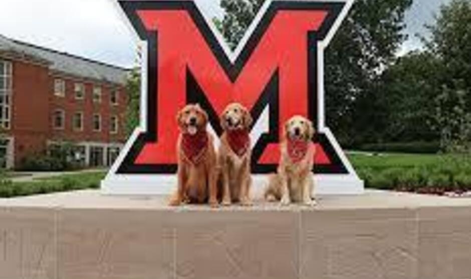 three dogs in from of an M