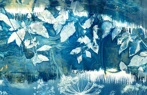 Cyanotype art by Madge Evers featuring leaves and plants