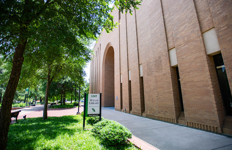 Trees and bushes outside of Willis Library.