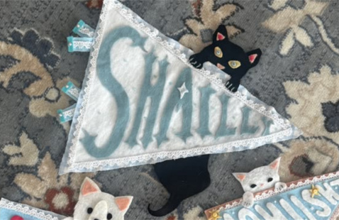 Example of felt name banners. Banner for Paws and Purrsonalize