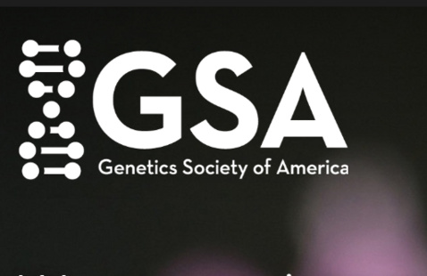 Genetics Society of America logo