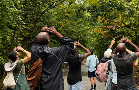 People bird watching in a park