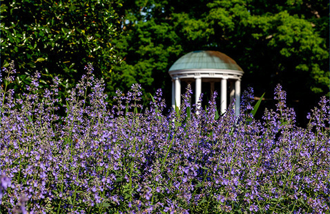 The Old Well with spring flowers in front of it on a sunny day.