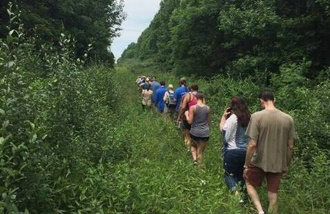 group of people walking along path