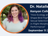 Event image for Biology Seminar Series - Natalie Wright, Kenyon College