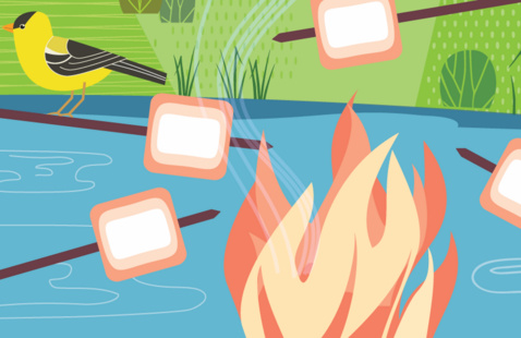 An illustration of marshmallows roasting over a fire near the UMass Campus Pond