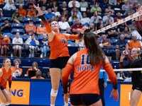 Event image for Volleyball vs. Denison University
