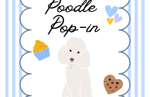 Poodle Pop-in — Tuesday September 8th Olmstead Breezeway 11-1:30 p.m.; illustration of white poodle, cupcake and heart cookie