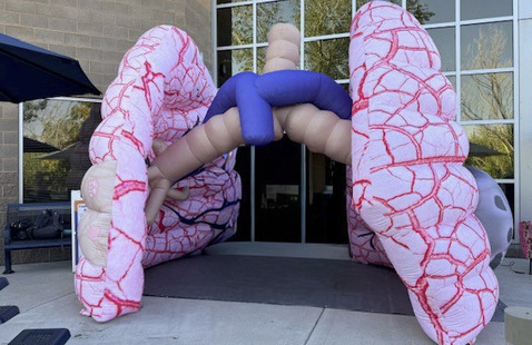 Inflatable lungs