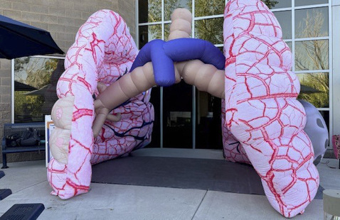 Inflatable lungs